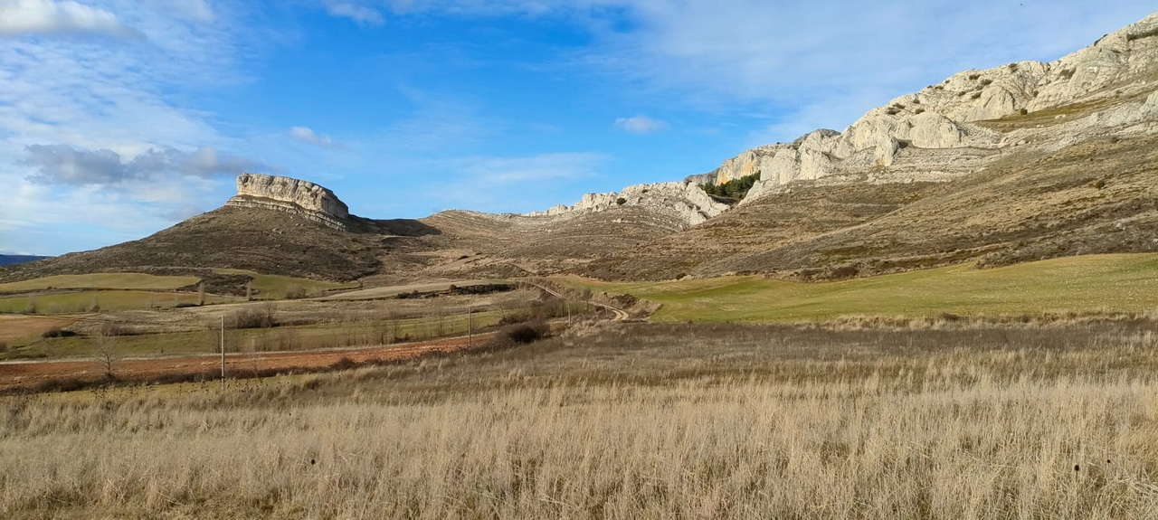 WhatsApp Image 2026-02-10 at 14.47.49 (5)